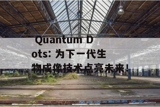  Quantum Dots: 为下一代生物成像技术点亮未来！